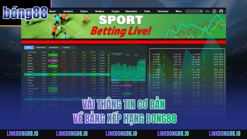 Vài thông tin cơ bản về bảng xếp hạng BONG88